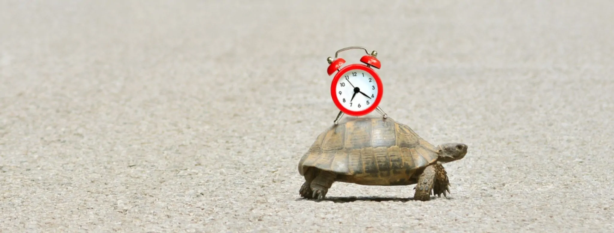 A demora na entrega no envio internacional pelos Correios